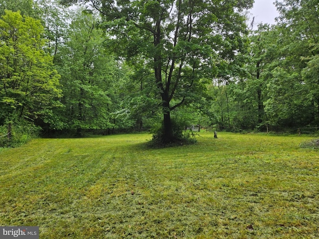 38 Mountain Rd, Orrtanna, PA 17353 - view of green lawn with a wooded view