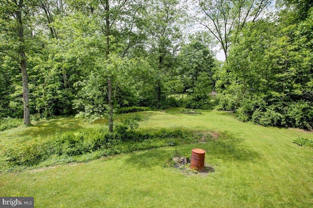 38 Mountain Rd, Orrtanna, PA 17353 - view of grassy yard