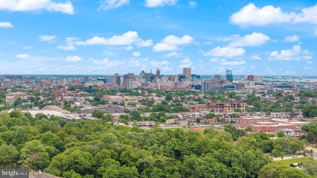 2810 Ellicott Dr, Baltimore, MD 21216 - city view