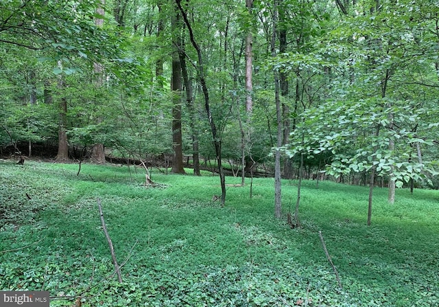 12503 Meadowood Dr, Silver Spring, MD 20904
