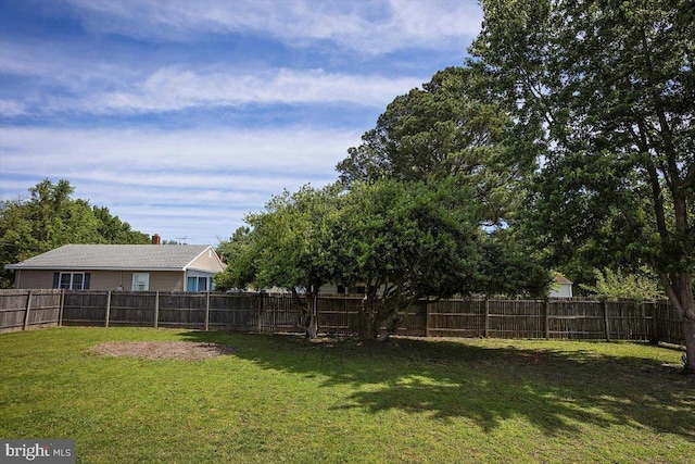 511 Goldsborough Ave, Cambridge, MD 21613 - view of yard