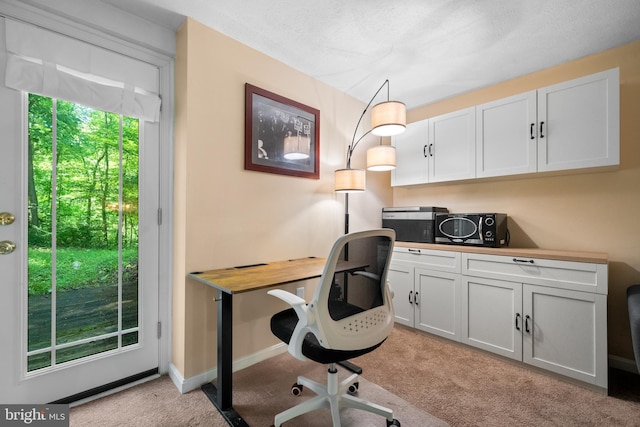 448 Newton Dr, Linden, VA 22642 - office area with light carpet and baseboards