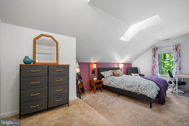 448 Newton Dr, Linden, VA 22642 - bedroom featuring lofted ceiling, light colored carpet, and a skylight