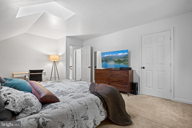 448 Newton Dr, Linden, VA 22642 - bedroom with carpet flooring, a skylight, and baseboards