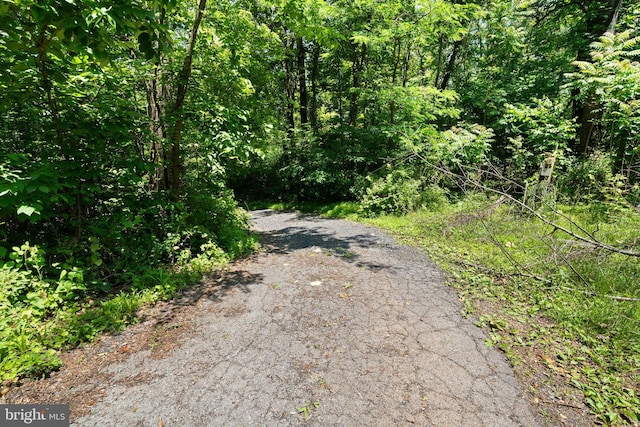 448 Newton Dr, Linden, VA 22642 - view of road