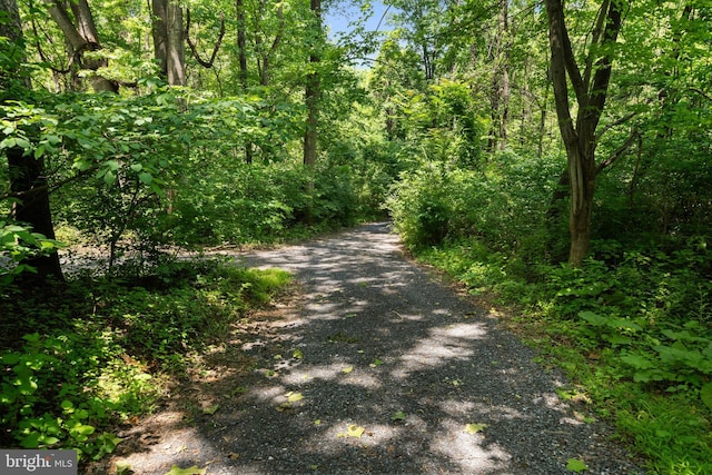 448 Newton Dr, Linden, VA 22642 - view of road featuring a wooded view