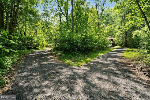 448 Newton Dr, Linden, VA 22642 - view of dirt / gravel driveway with a wooded view