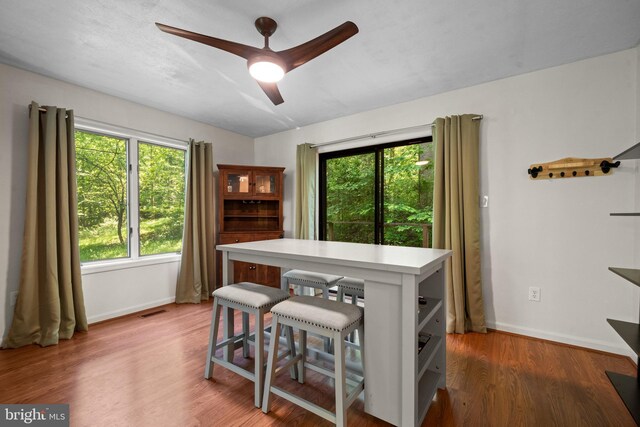448 Newton Dr, Linden, VA 22642 - dining space with baseboards, light wood-style floors, and a ceiling fan