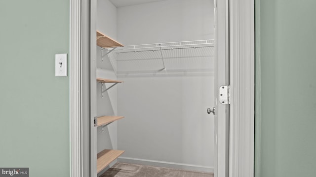 3073 Goshen Dr Unit M55L, Pennsburg, PA 18073 - walk in closet featuring carpet