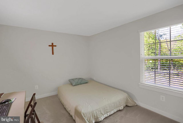 2005 Benjamin Ct, Harrisburg, PA 17110 - carpeted bedroom with multiple windows