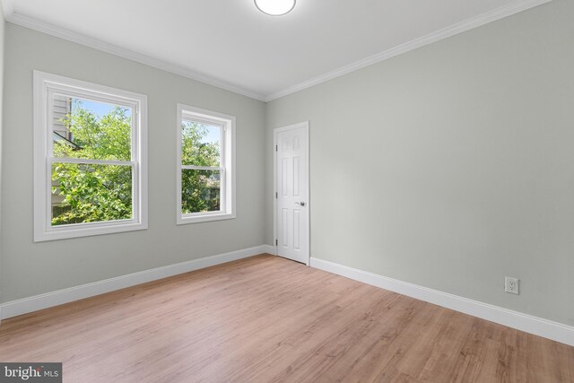 503 W Park Ave, Hamilton, NJ 08610 - unfurnished room featuring light wood-style flooring, crown molding, and baseboards
