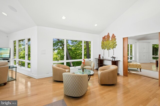511 Center Hl, Upper Black Eddy, PA 18972 - living room with light wood finished floors, high vaulted ceiling, recessed lighting, and baseboards