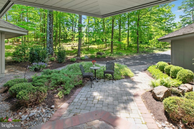 511 Center Hl, Upper Black Eddy, PA 18972 - view of patio