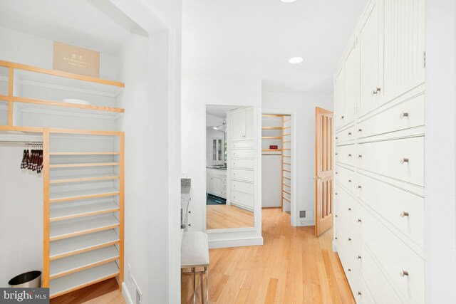 511 Center Hl, Upper Black Eddy, PA 18972 - walk in closet featuring light wood-style flooring