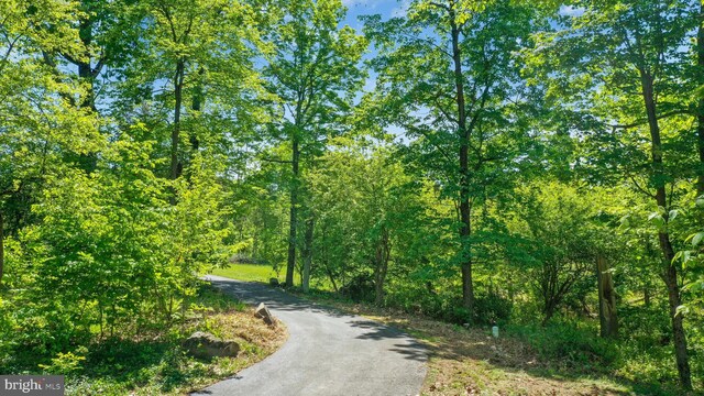 511 Center Hl, Upper Black Eddy, PA 18972 - view of road featuring a view of trees