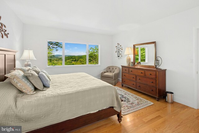 511 Center Hl, Upper Black Eddy, PA 18972 - bedroom with wood finished floors