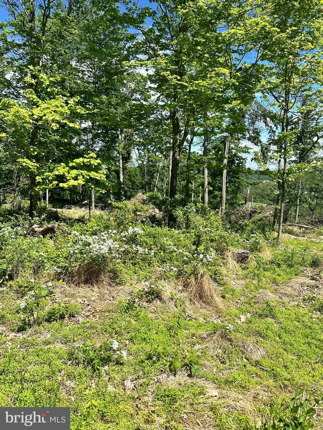 511 Center Hl, Upper Black Eddy, PA 18972 - view of local wilderness