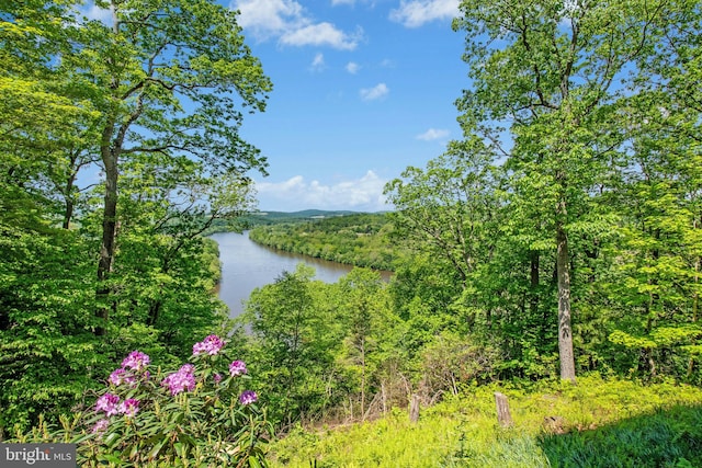 511 Center Hl, Upper Black Eddy, PA 18972 - water view with a forest