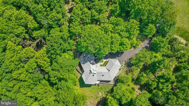 511 Center Hl, Upper Black Eddy, PA 18972 - view of subject property