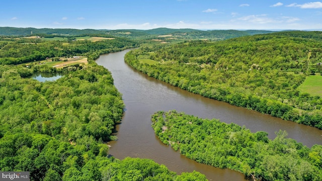 511 Center Hl, Upper Black Eddy, PA 18972 - aerial view of a water and mountain view and a forest