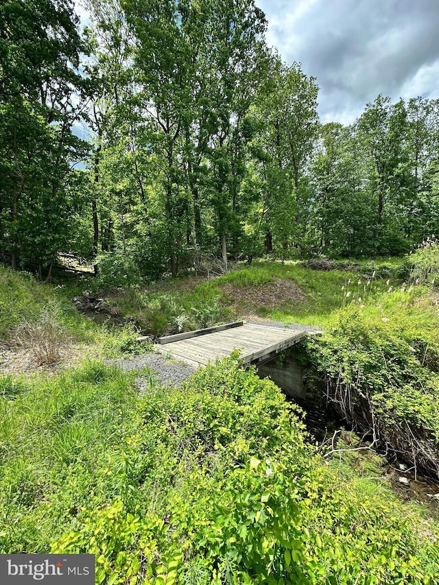 511 Center Hl, Upper Black Eddy, PA 18972 - view of yard