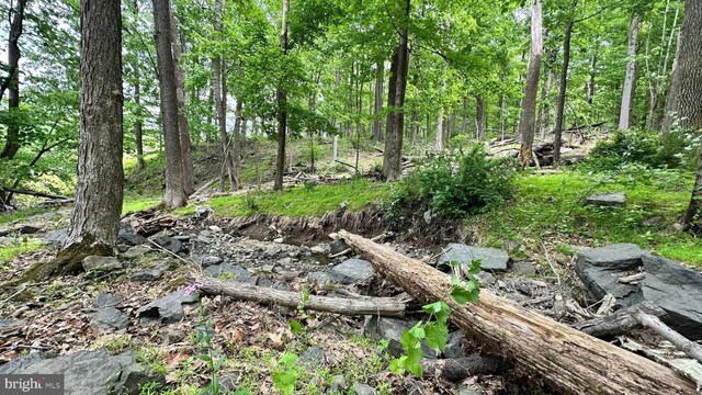 511 Center Hl, Upper Black Eddy, PA 18972 - view of undeveloped land
