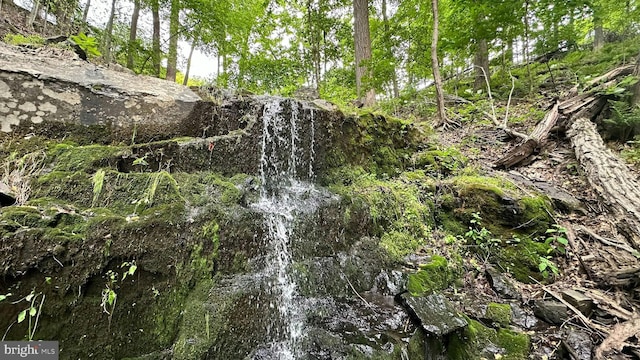 511 Center Hl, Upper Black Eddy, PA 18972 - view of nature