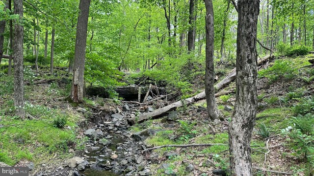 511 Center Hl, Upper Black Eddy, PA 18972 - view of tree filled area