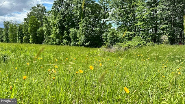 511 Center Hl, Upper Black Eddy, PA 18972 - view of undeveloped land