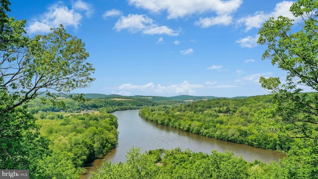 511 Center Hl, Upper Black Eddy, PA 18972 - surrounding community featuring a wooded view and a water and mountain view