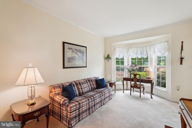 19655 Smith Cir, Ashburn, VA 20147 - carpeted living area with crown molding and baseboards