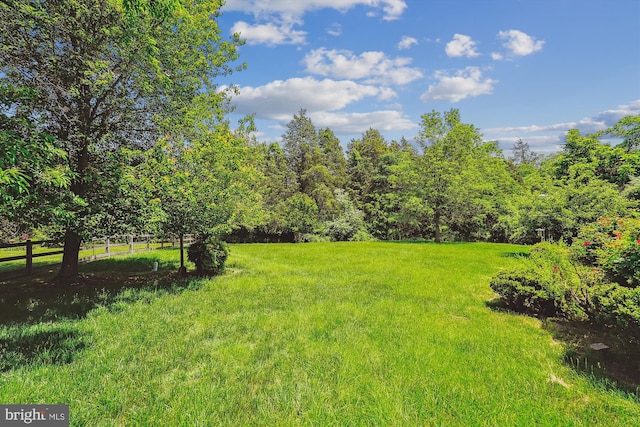 19655 Smith Cir, Ashburn, VA 20147 - view of yard