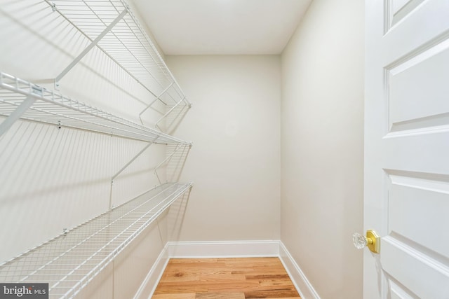walk in closet with light wood-type flooring