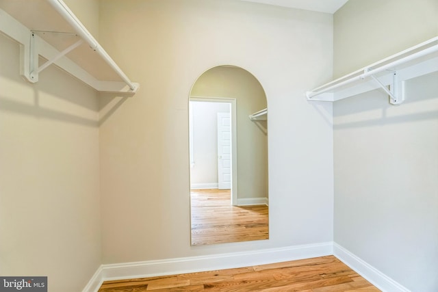 spacious closet featuring wood finished floors