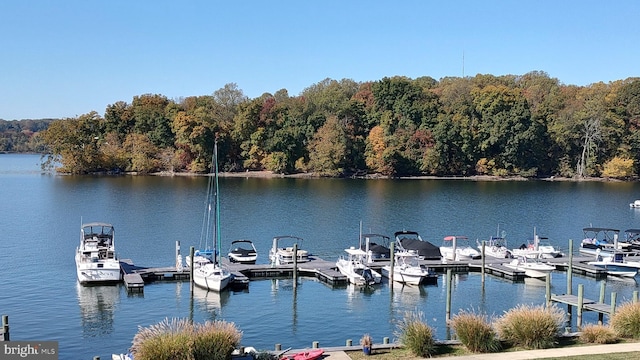 33 Owens Landing Ct Unit 33C, Perryville, MD 21903 - dock with a water view and a wooded view