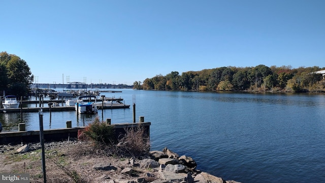33 Owens Landing Ct Unit 33C, Perryville, MD 21903 - dock area featuring a water view
