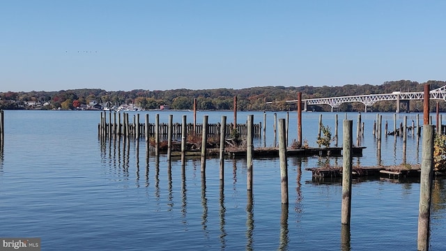33 Owens Landing Ct Unit 33C, Perryville, MD 21903 - dock featuring a water view