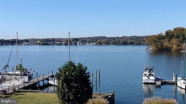 33 Owens Landing Ct Unit 33C, Perryville, MD 21903 - dock with a water view