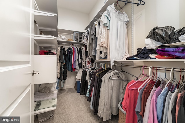 12 Sagecrest Cir, Enola, PA 17025 - spacious closet featuring carpet