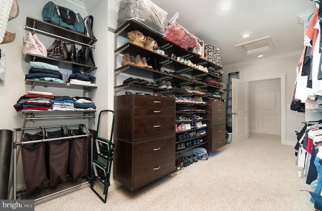 12 Sagecrest Cir, Enola, PA 17025 - walk in closet with attic access and carpet