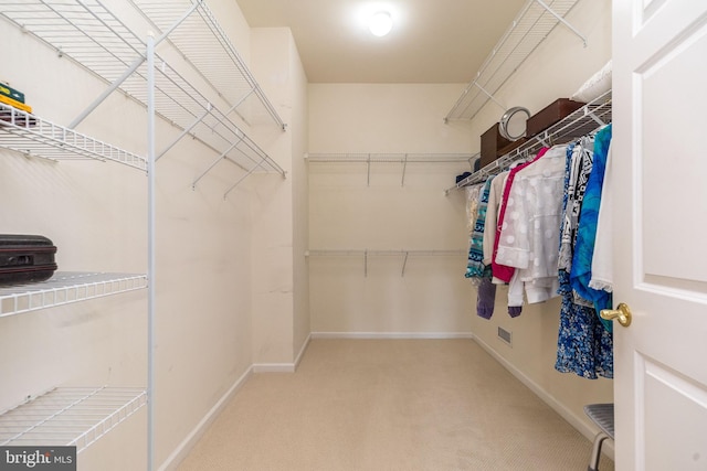 39 Nathaniel, Holland, PA 18966 - walk in closet featuring carpet flooring