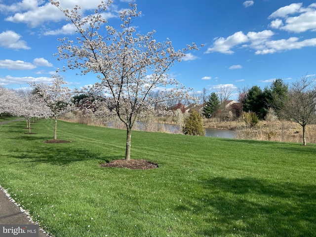 39 Nathaniel, Holland, PA 18966 - view of green lawn with a water view