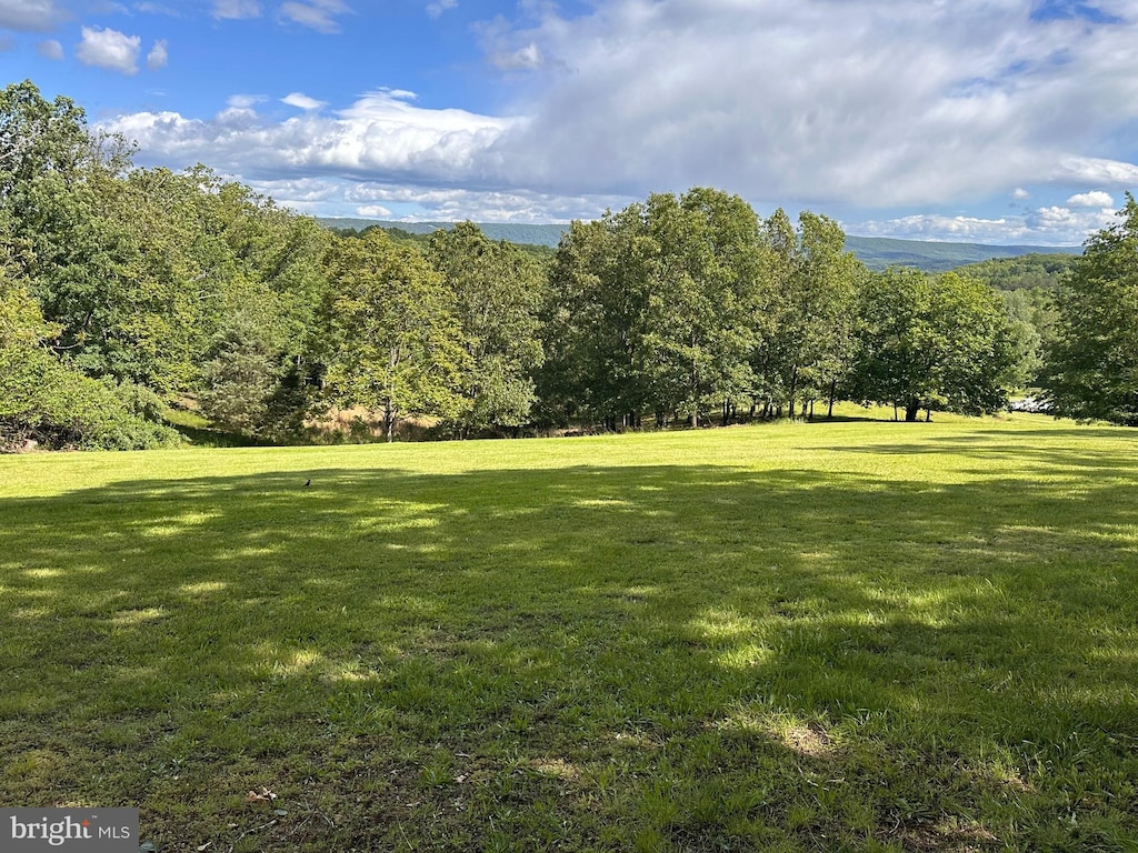 1103 Waugh Rd, Berkeley Springs, WV 25411 - view of green lawn with a view of trees