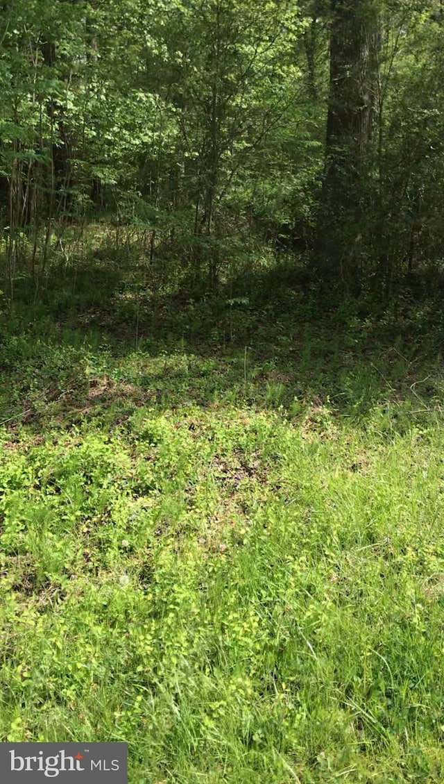 0 Allen Rd, Eden, MD 21822