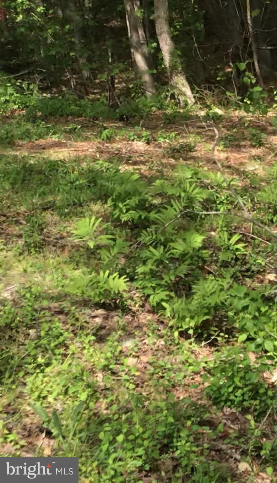 0 Allen Rd, Eden, MD 21822
