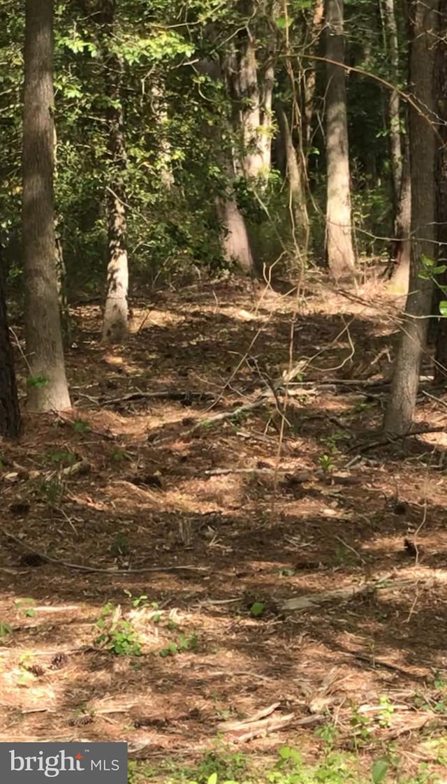 0 Allen Rd, Eden, MD 21822