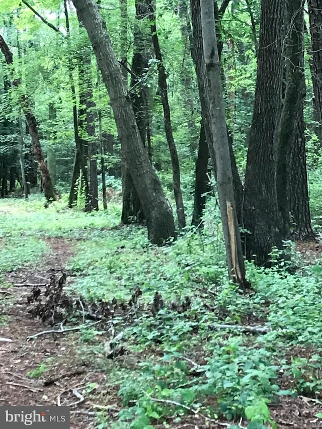 0 Allen Rd, Eden, MD 21822