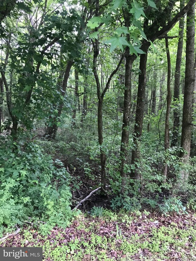 0 Allen Rd, Eden, MD 21822