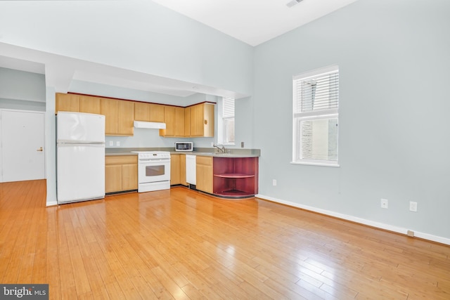 2114 N St NW Unit 46, Washington, DC 20037 - kitchen with white appliances, under cabinet range hood, a sink, light countertops, and light wood-style flooring
