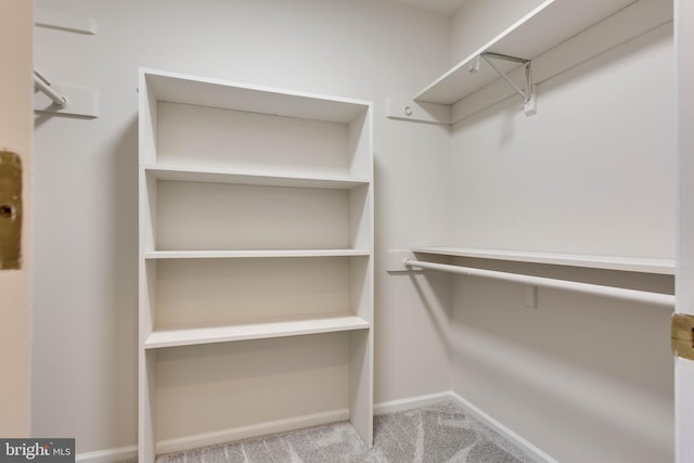5183 Silver Run Ln, Salisbury, MD 21801 - spacious closet featuring carpet floors